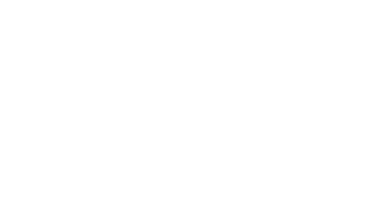 Flow Sports