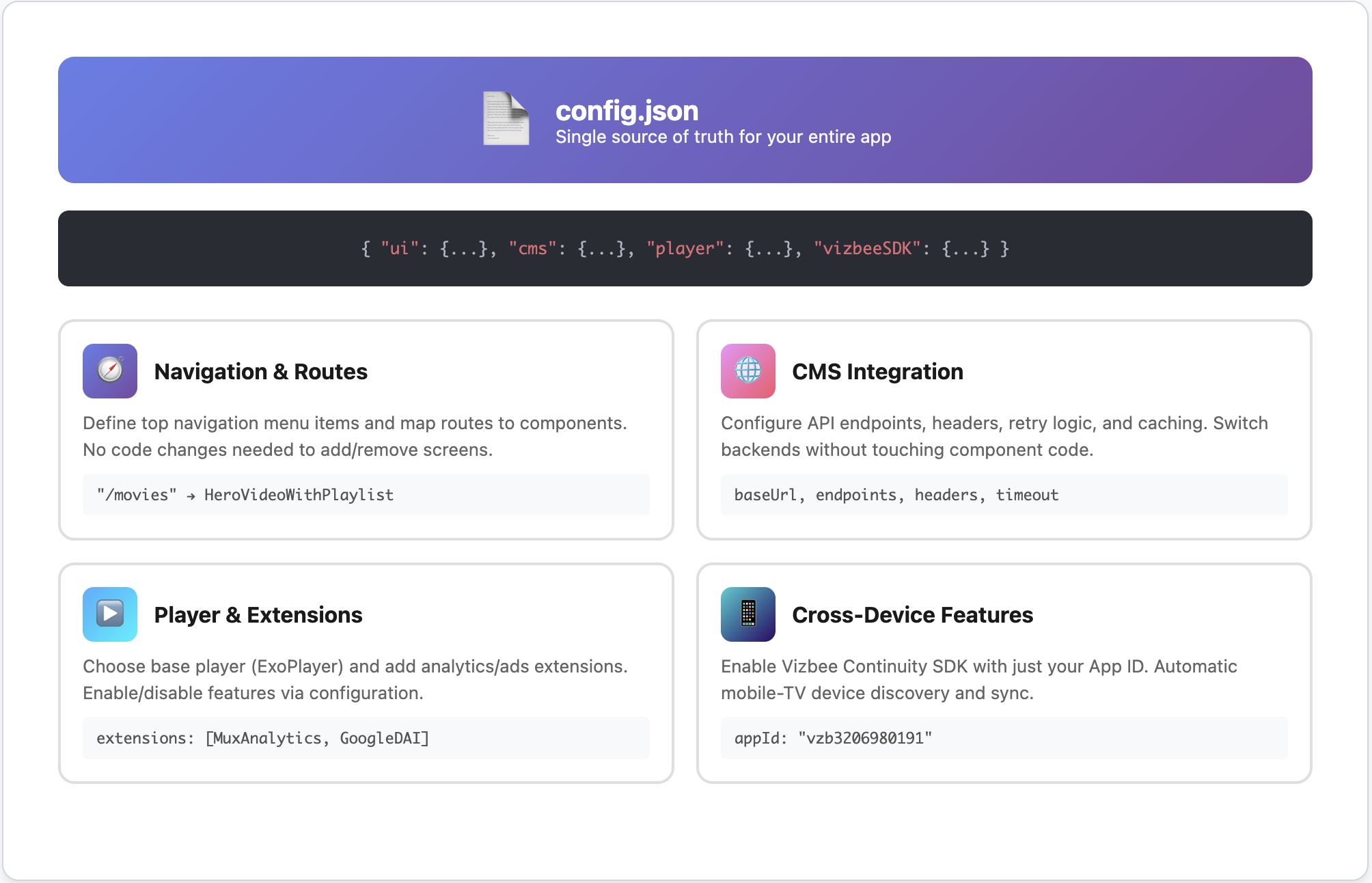 Configuration | Vizbee